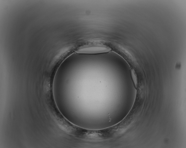 X0000094780407200711241343