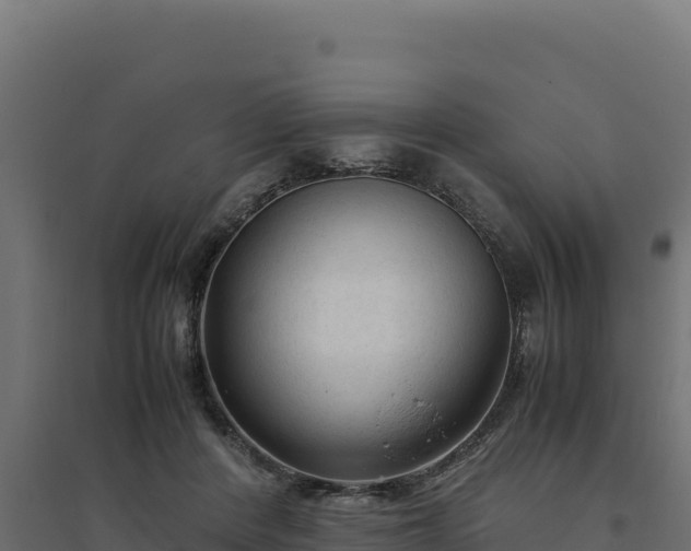 X0000094780408200711241343