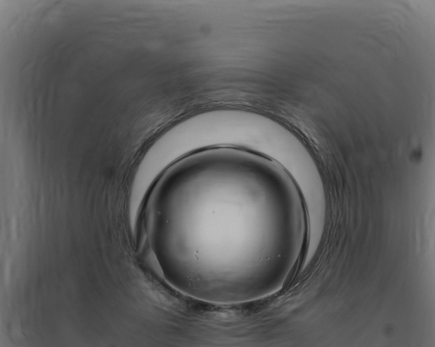 X0000094780411200711241343