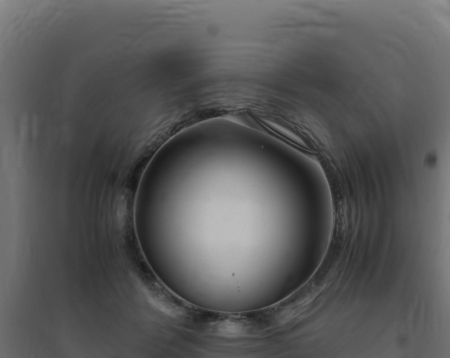 X0000094780412200711241343