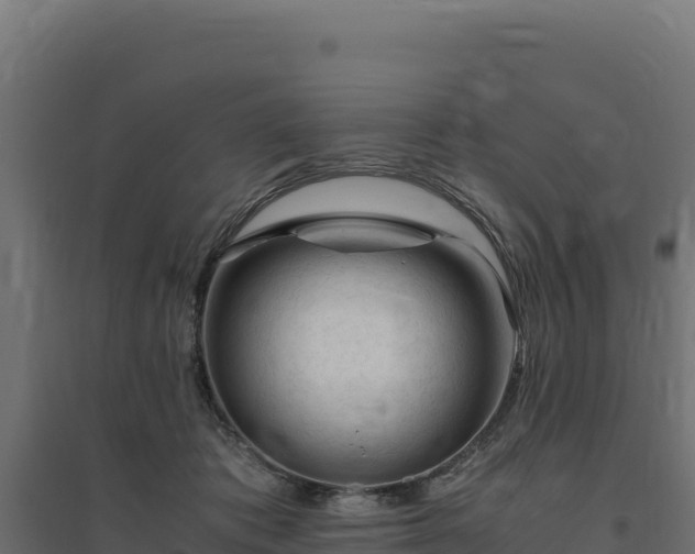 X0000094780413200711241343