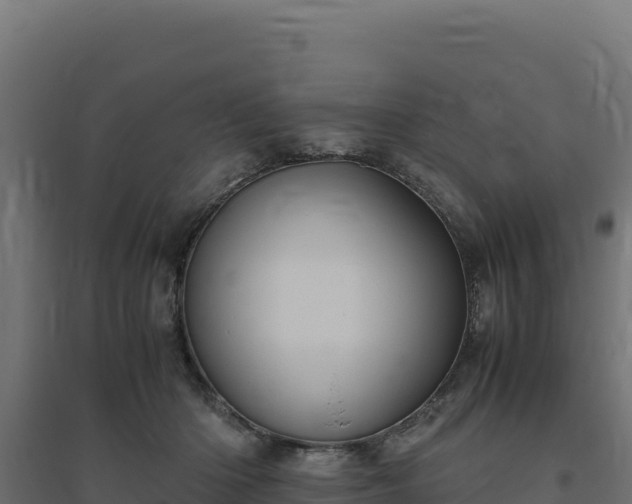 X0000094780414200711241343