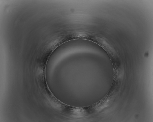 X0000094780415200711241343