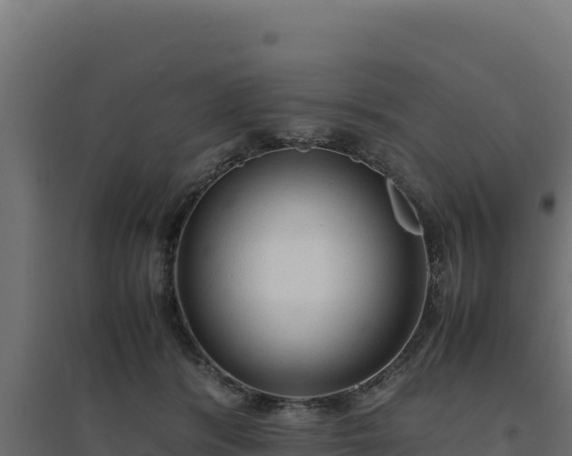 X0000094780416200711241343