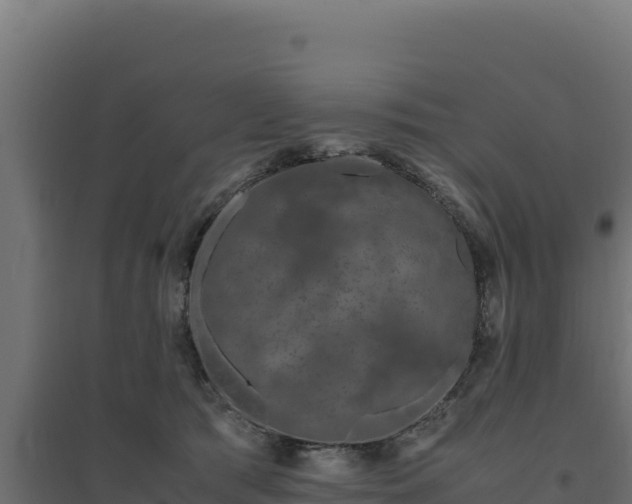 X0000094780417200711241343