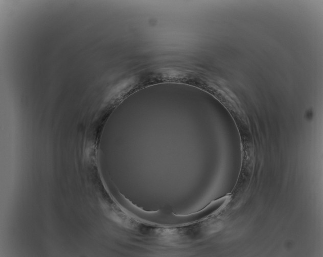 X0000094780419200711241343