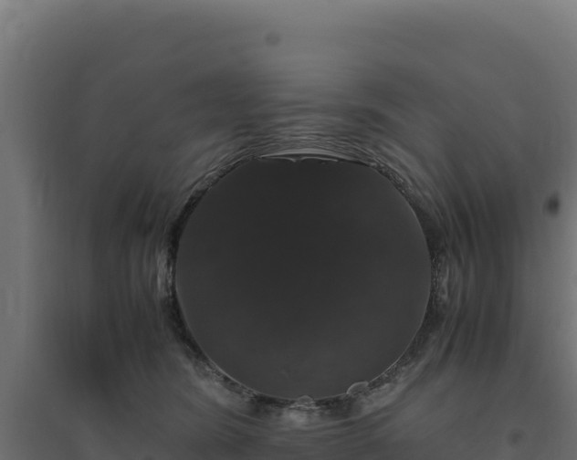 X0000094780420200711241343