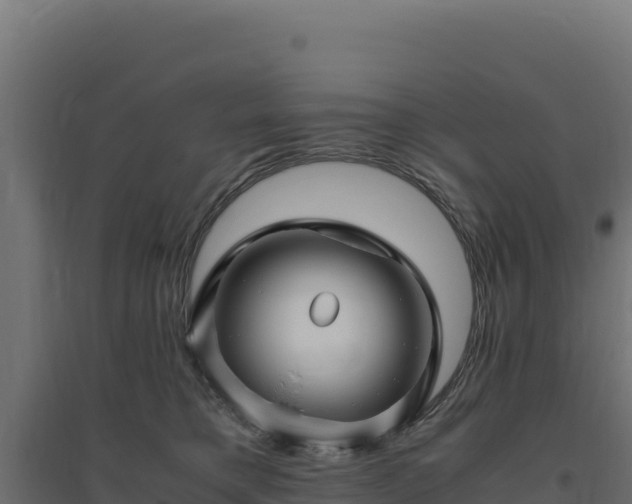 X0000094780421200711241343