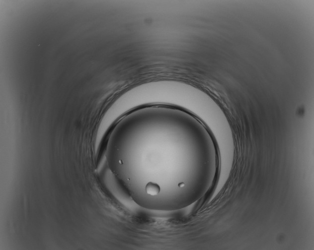 X0000094780423200711241343