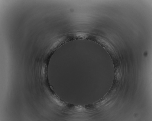 X0000094780424200711241343