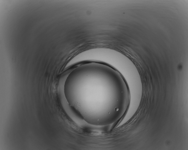 X0000094780425200711241343