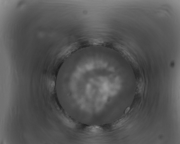 X0000094780427200711241343