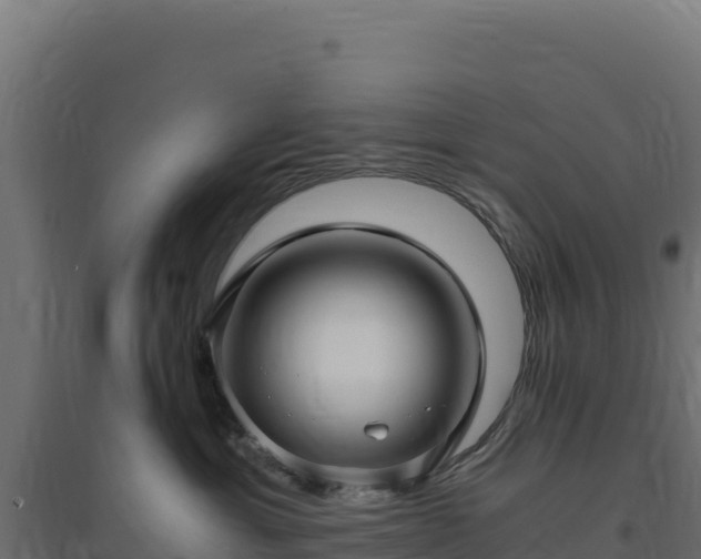 X0000094780429200711241343