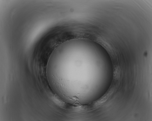 X0000094780430200711241343