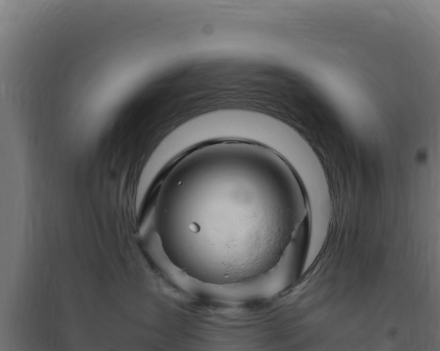X0000094780431200711241343