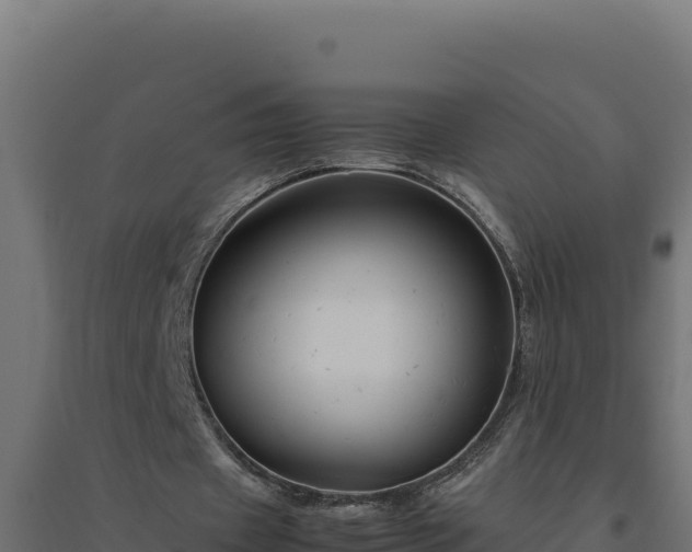 X0000094780433200711241342