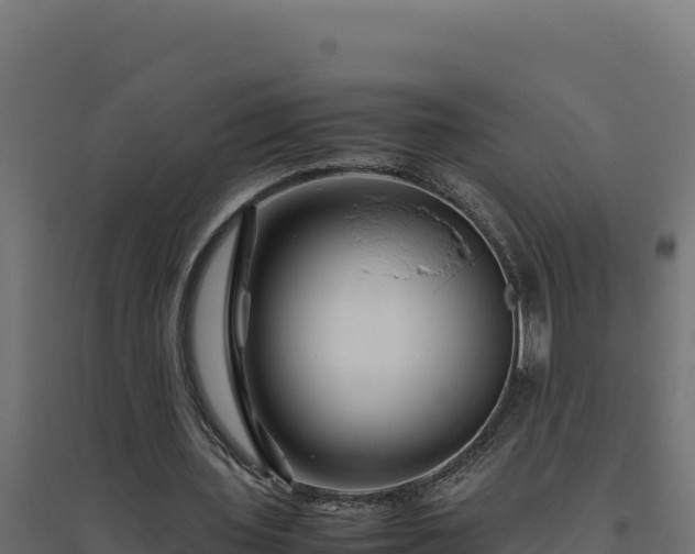 X0000094780435200711241342