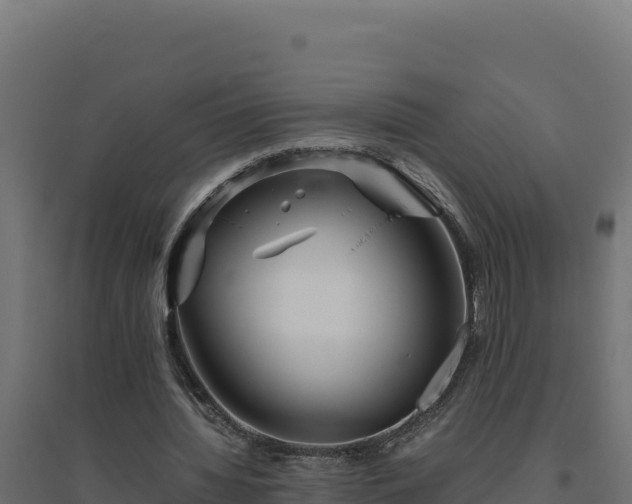 X0000094780436200711241342