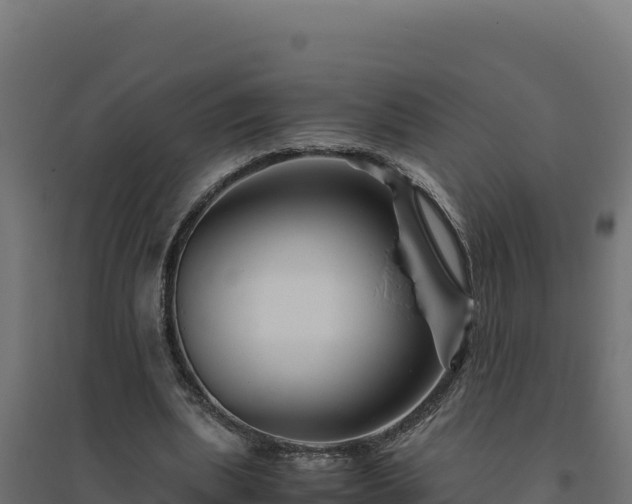 X0000094780439200711241342