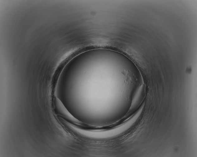 X0000094780440200711241342