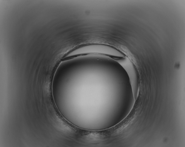 X0000094780441200711241342