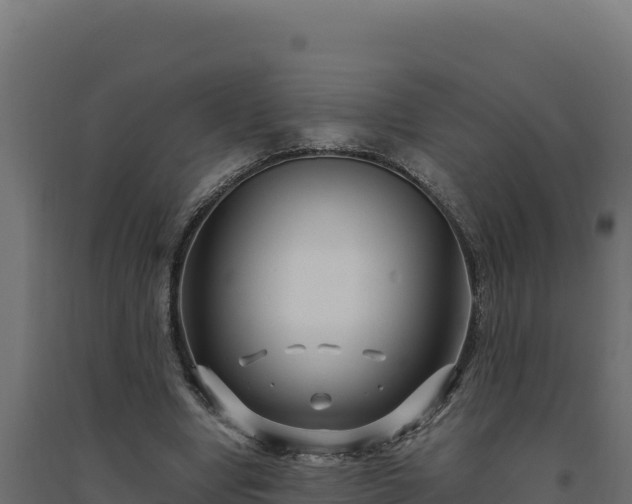 X0000094780442200711241342