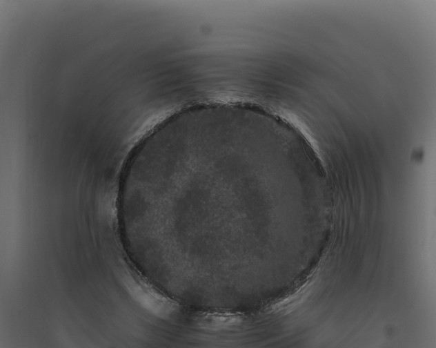 X0000094780443200711241342