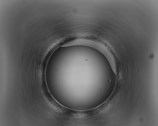 X0000094780444200711241342