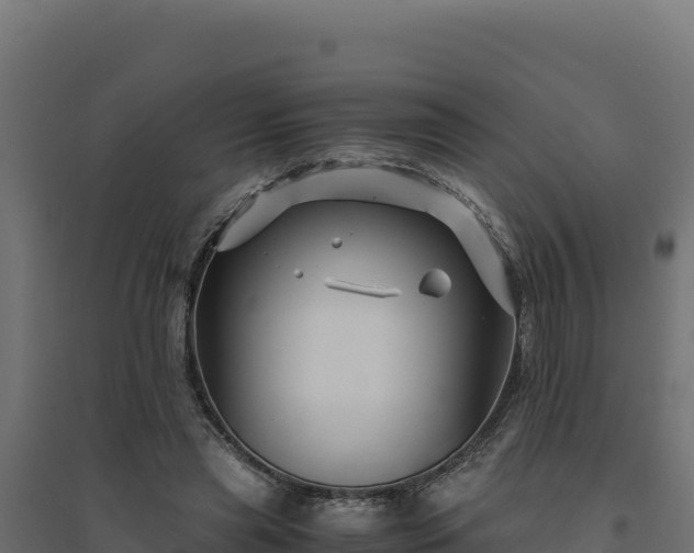 X0000094780445200711241342