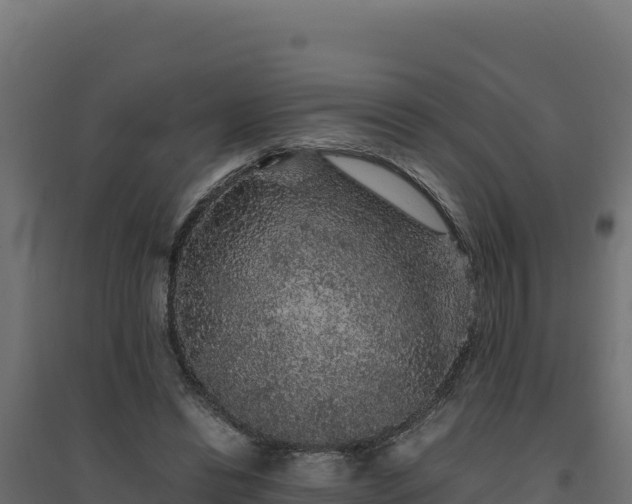 X0000094780446200711241342