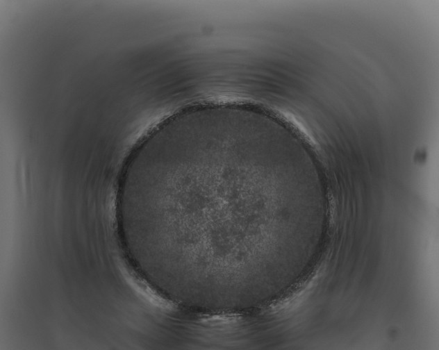 X0000094780447200711241342