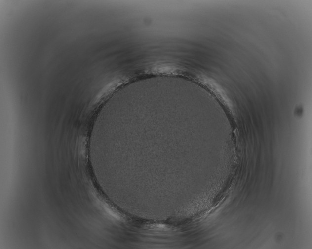 X0000094780449200711241343