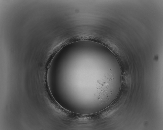 X0000094780450200711241343