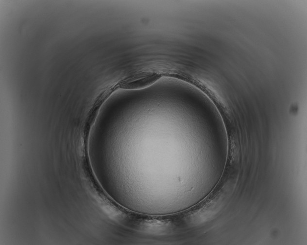 X0000094780453200711241343