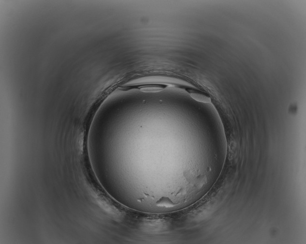 X0000094780454200711241343