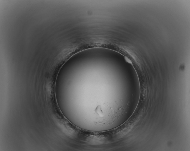 X0000094780455200711241343