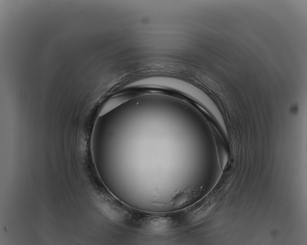 X0000094780456200711241343