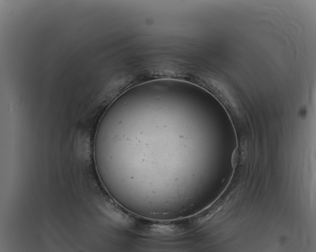 X0000094780457200711241343