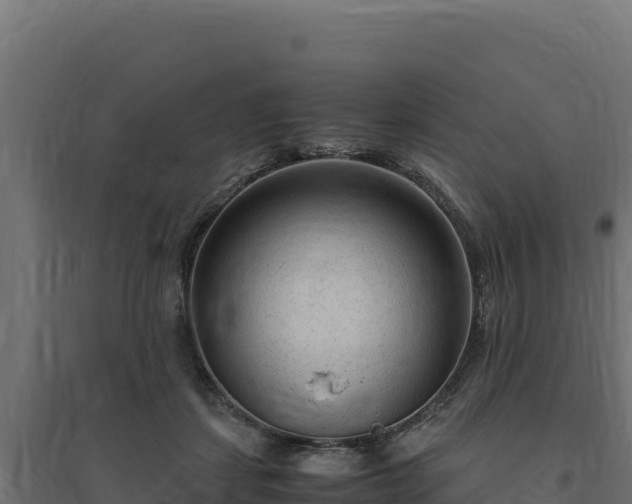 X0000094780459200711241343