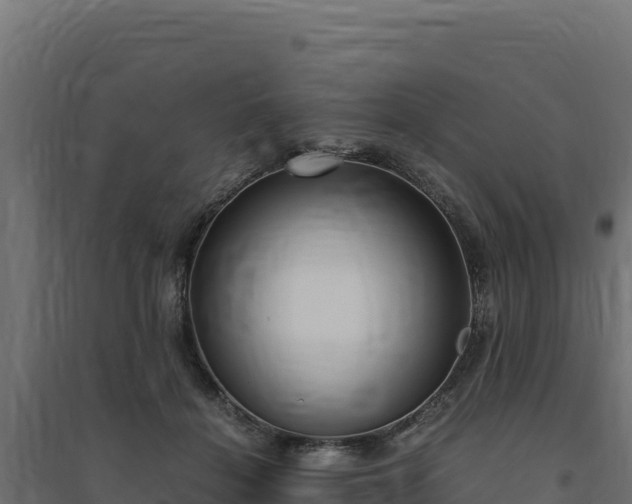 X0000094780460200711241343