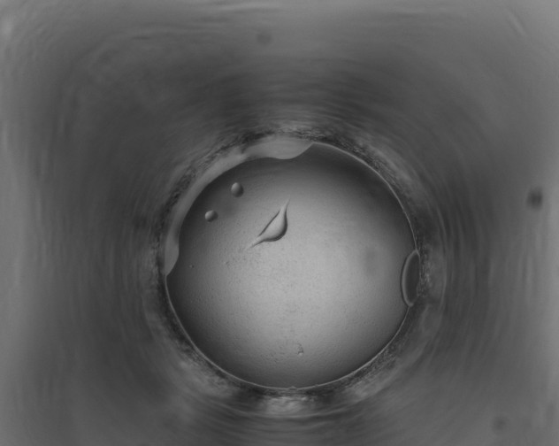 X0000094780461200711241343