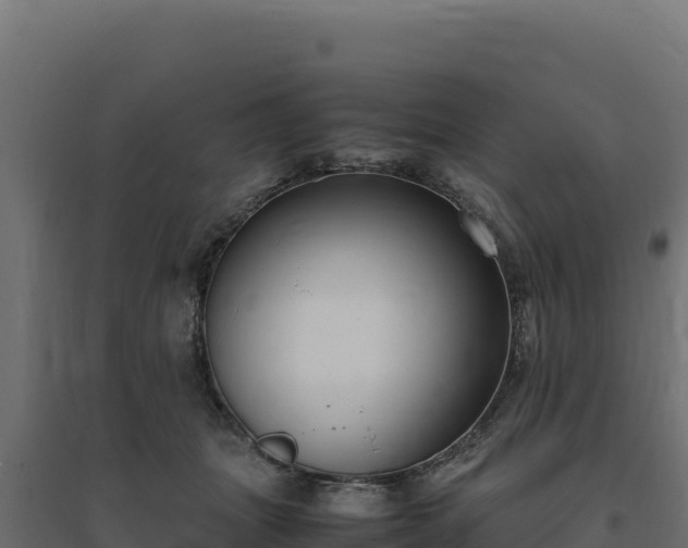 X0000094780463200711241343