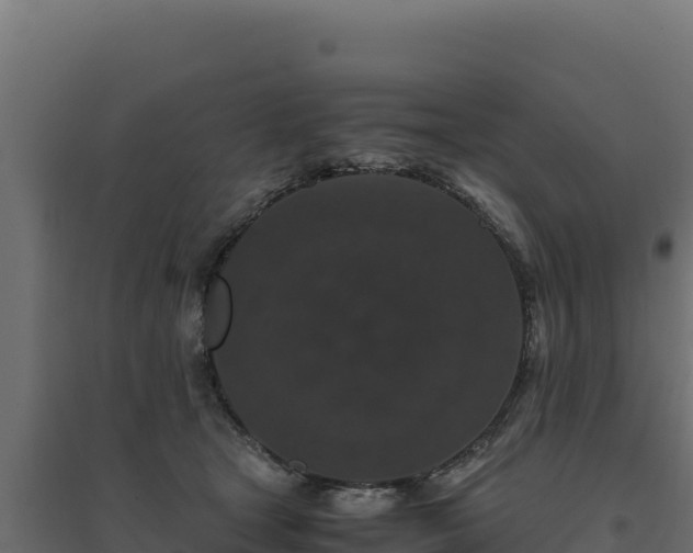 X0000094780465200711241343