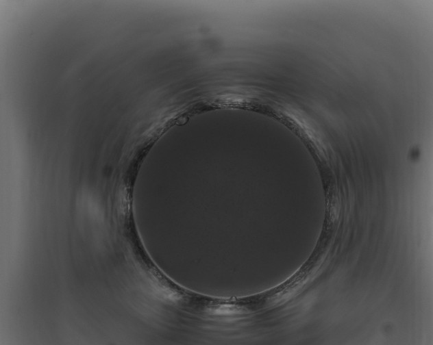 X0000094780467200711241343