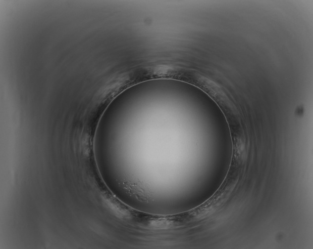 X0000094780470200711241343