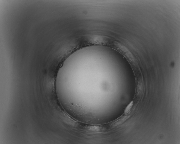 X0000094780473200711241343