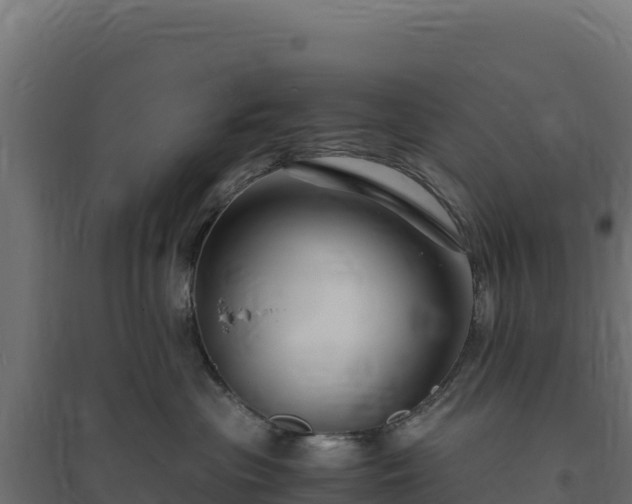 X0000094780477200711241343