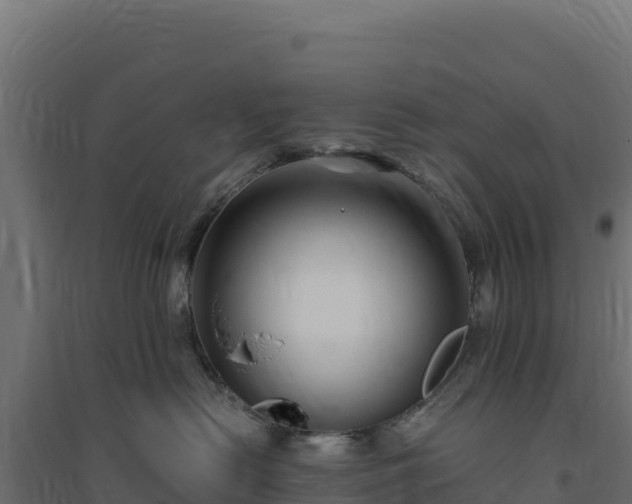X0000094780478200711241343