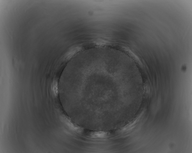 X0000094780479200711241343