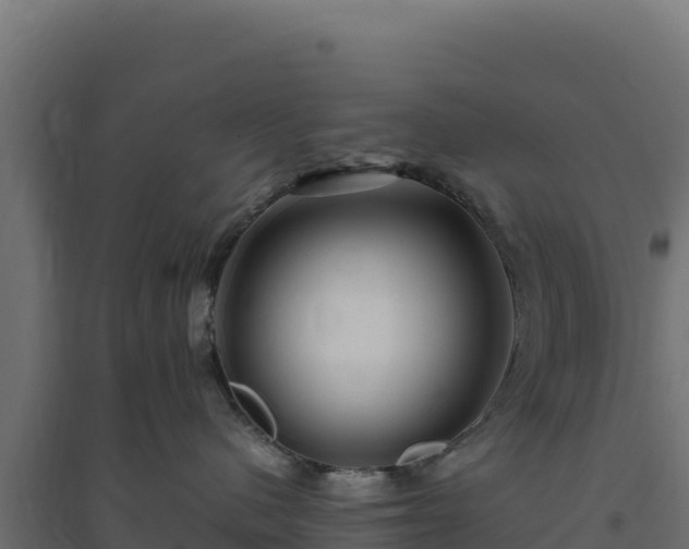 X0000094780480200711241343